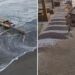 VÍDEO mostra forte ressaca no mar que causou estragos no Litoral Norte do RS