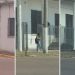 VÍDEO: Assessor de vereador é flagrado batendo ponto e saindo para dar aula em escolinha de futebol no RS; MP investiga casos parecidos